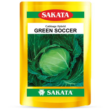 F1 Green Soccer (546)