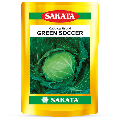 F1 Green Soccer (546)
