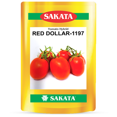 F1 RED DOLLAR (1197)