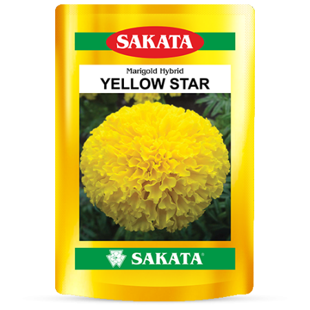 F1 YELLOW STAR