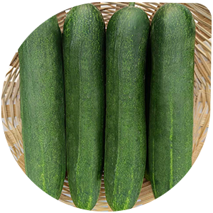 Cucumber
