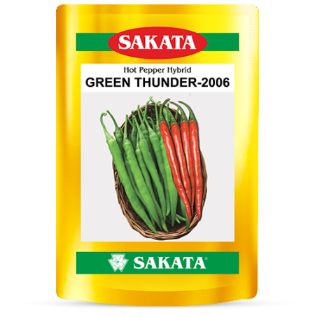 F1 Green Thunder 2006