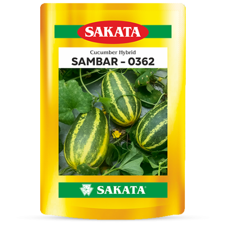 F1 Sambar 0362