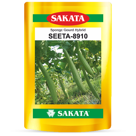 F1 Seeta 8910