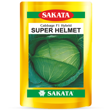 F1 Super Helmet