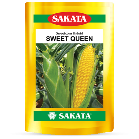 F1 Sweet Queen 0174