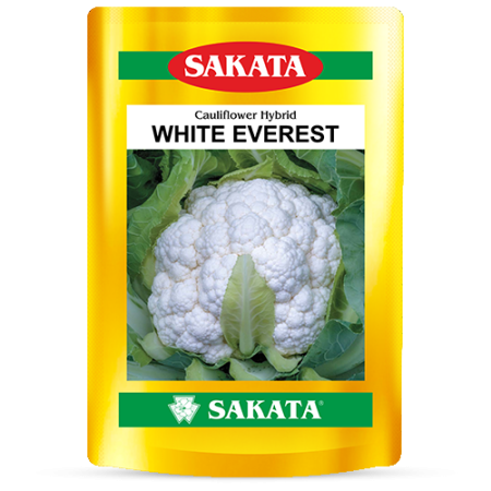 F1 White Everest