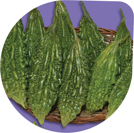 Bitter Gourd