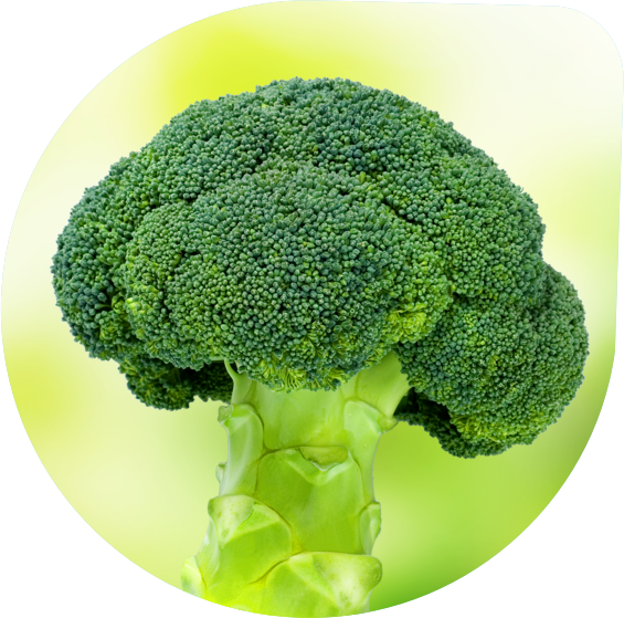 Broccoli
