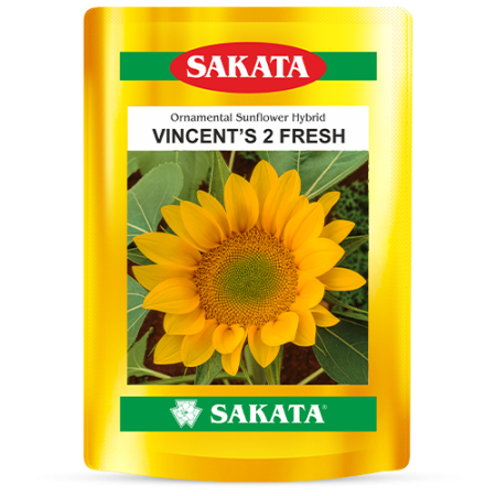 F1 Vincent’s 2 Fresh