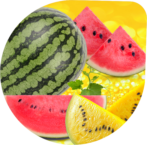 Watermelon